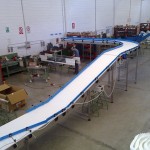 Plastic link conveyors robotic 5
